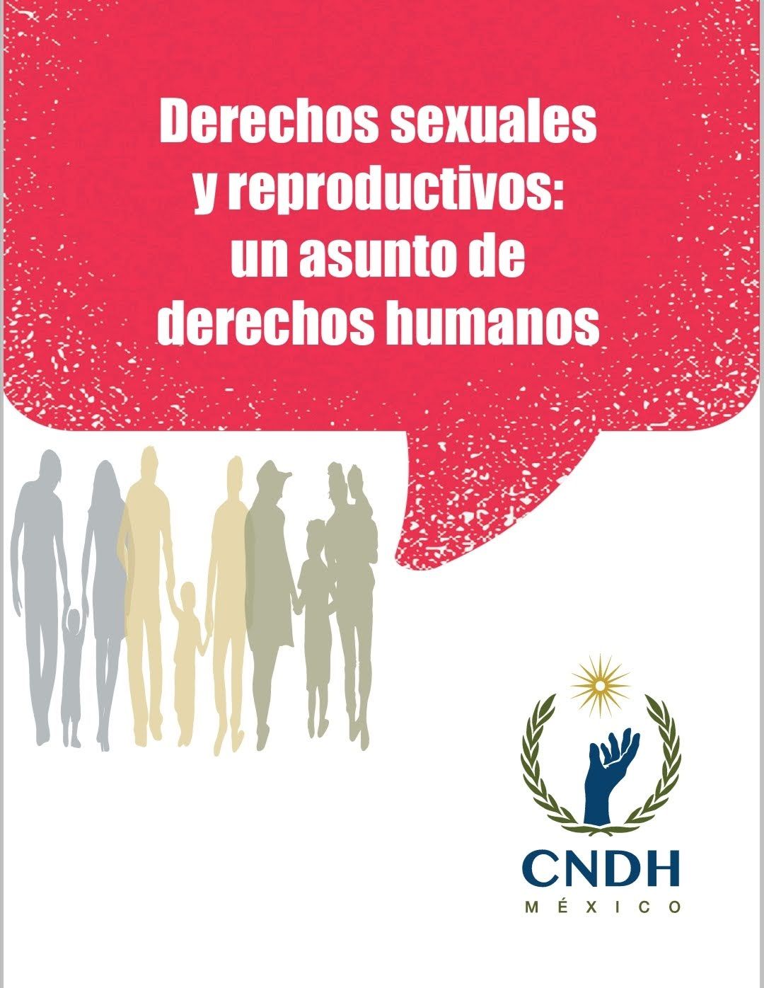 Derechos sexuales y reproductivos: un asunto de derechos humanos