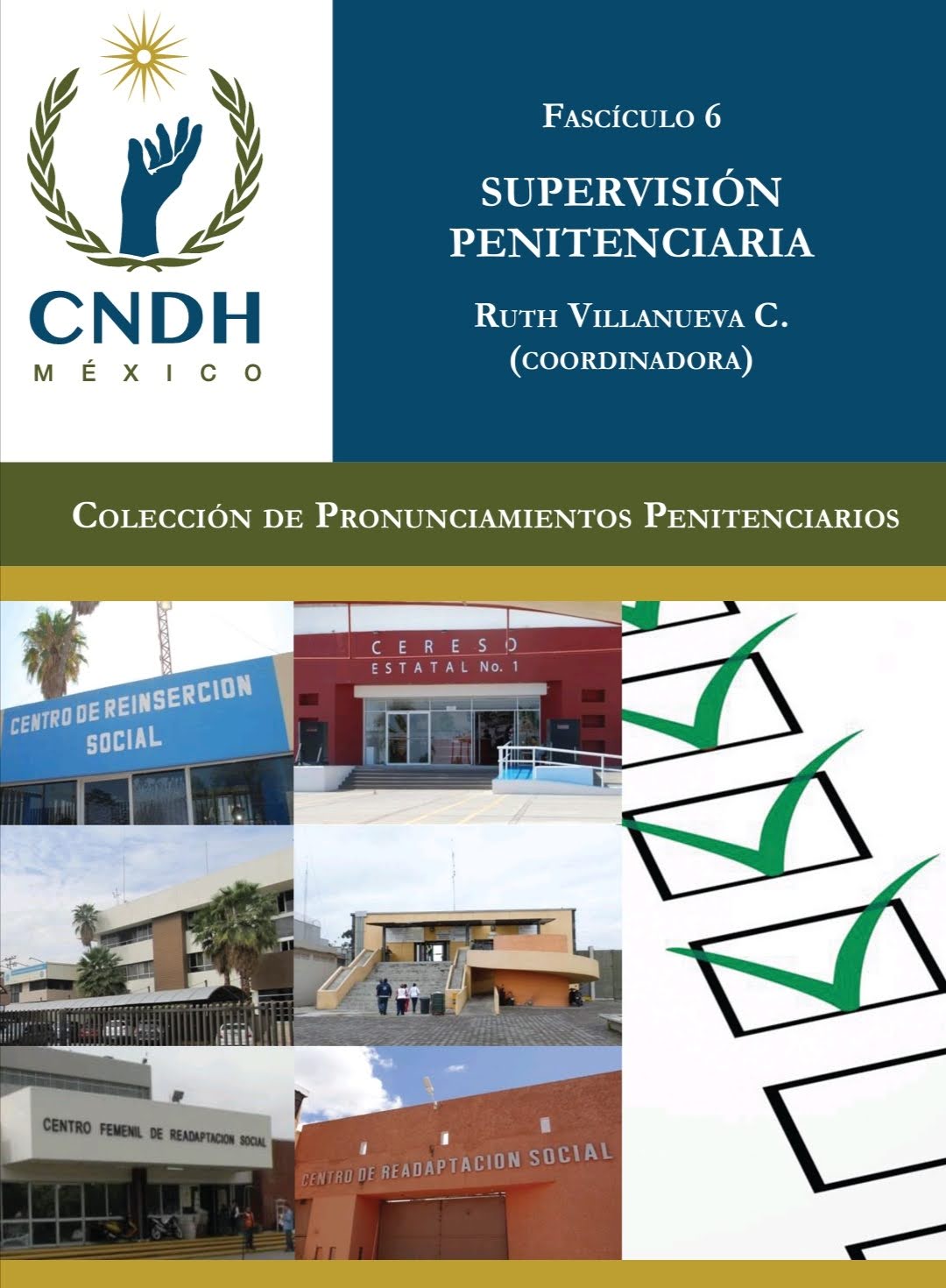 SUPERVISIÓN PENITENCIARIA