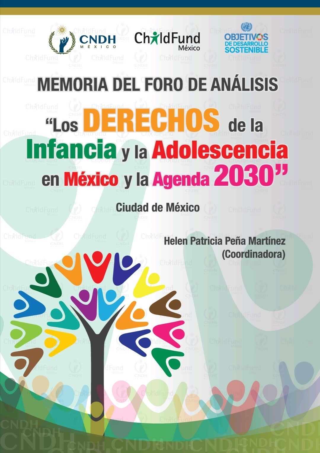 Los derechos de la infancia y la adolescencia en México y la Agenda 2030