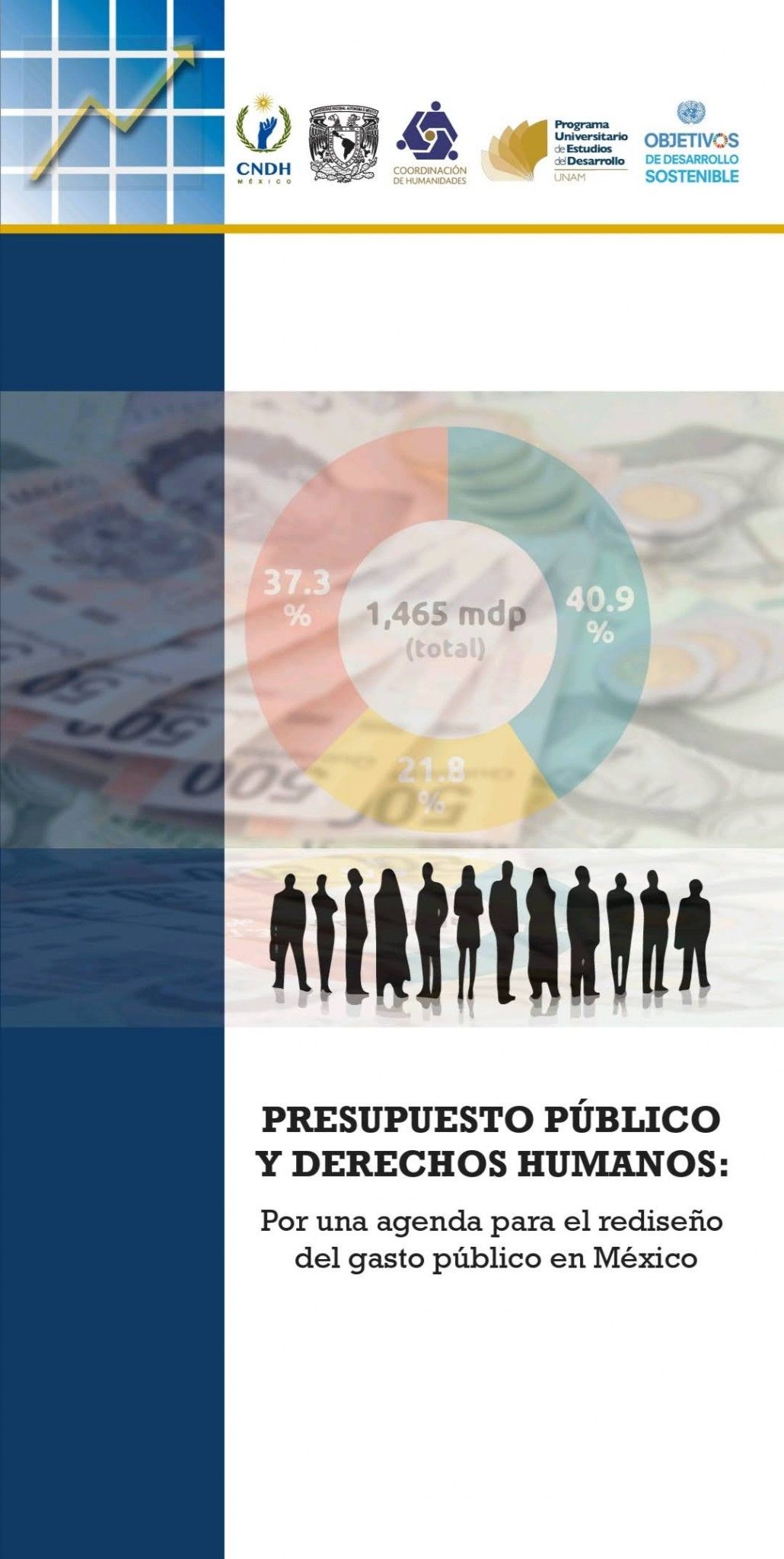 PRESUPUESTO PÚBLICO Y DERECHOS HUMANOS: Por una agenda para el rediseño ...