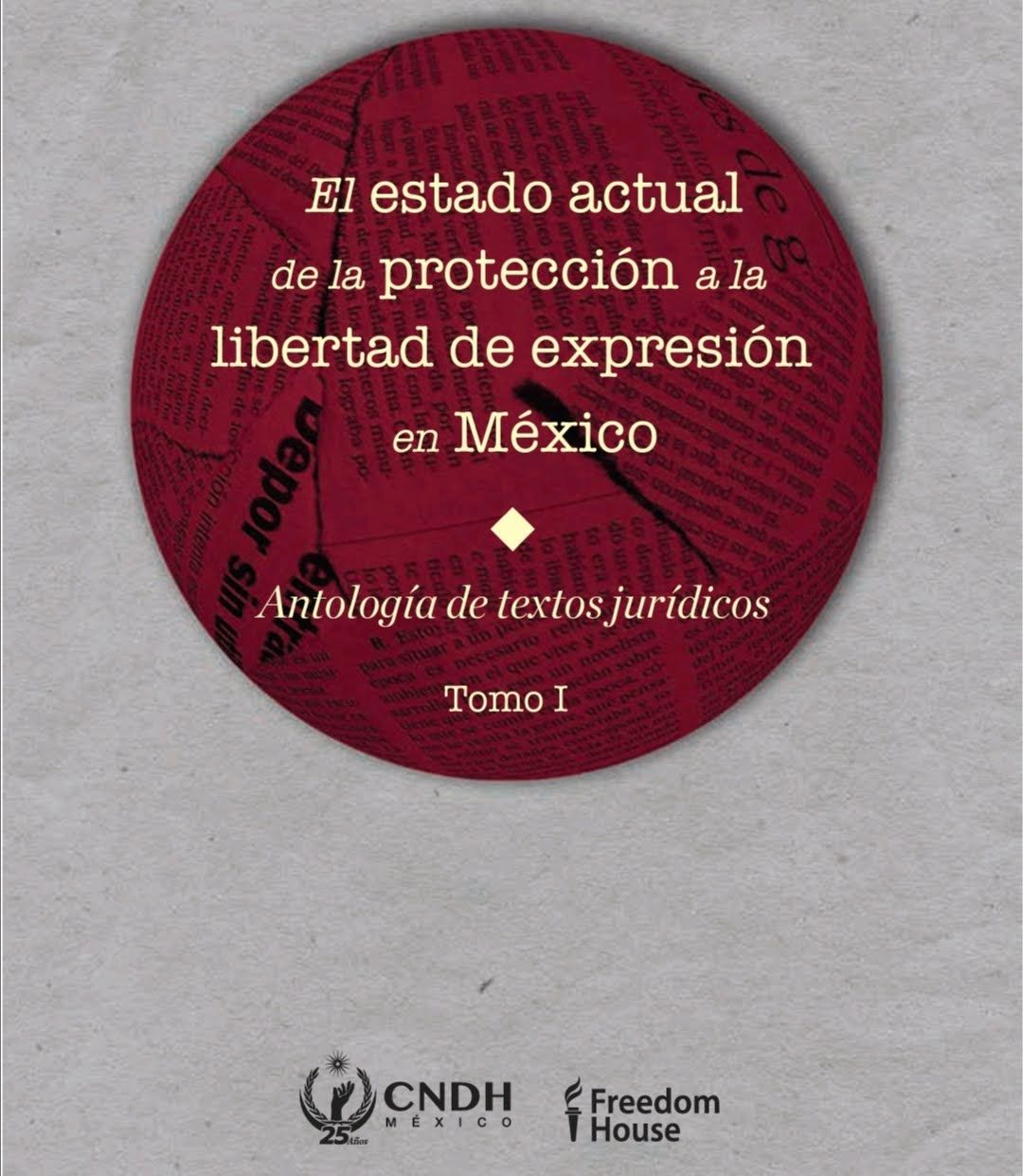 El estado actual de la protección a la libertad de expresión en México TOMO I