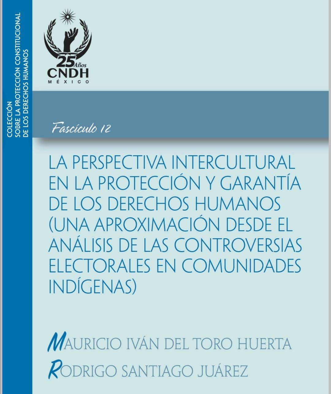 La perspectiva intercultural en la protección y garantía de los derechos humanos (una aproximación desde el análisis de las controversias electorales en comunidades indígenas)