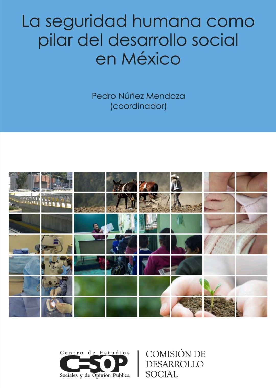 LA SEGURIDAD HUMANA COMO PILAR DEL DESARROLLO SOCIAL EN MEXICO