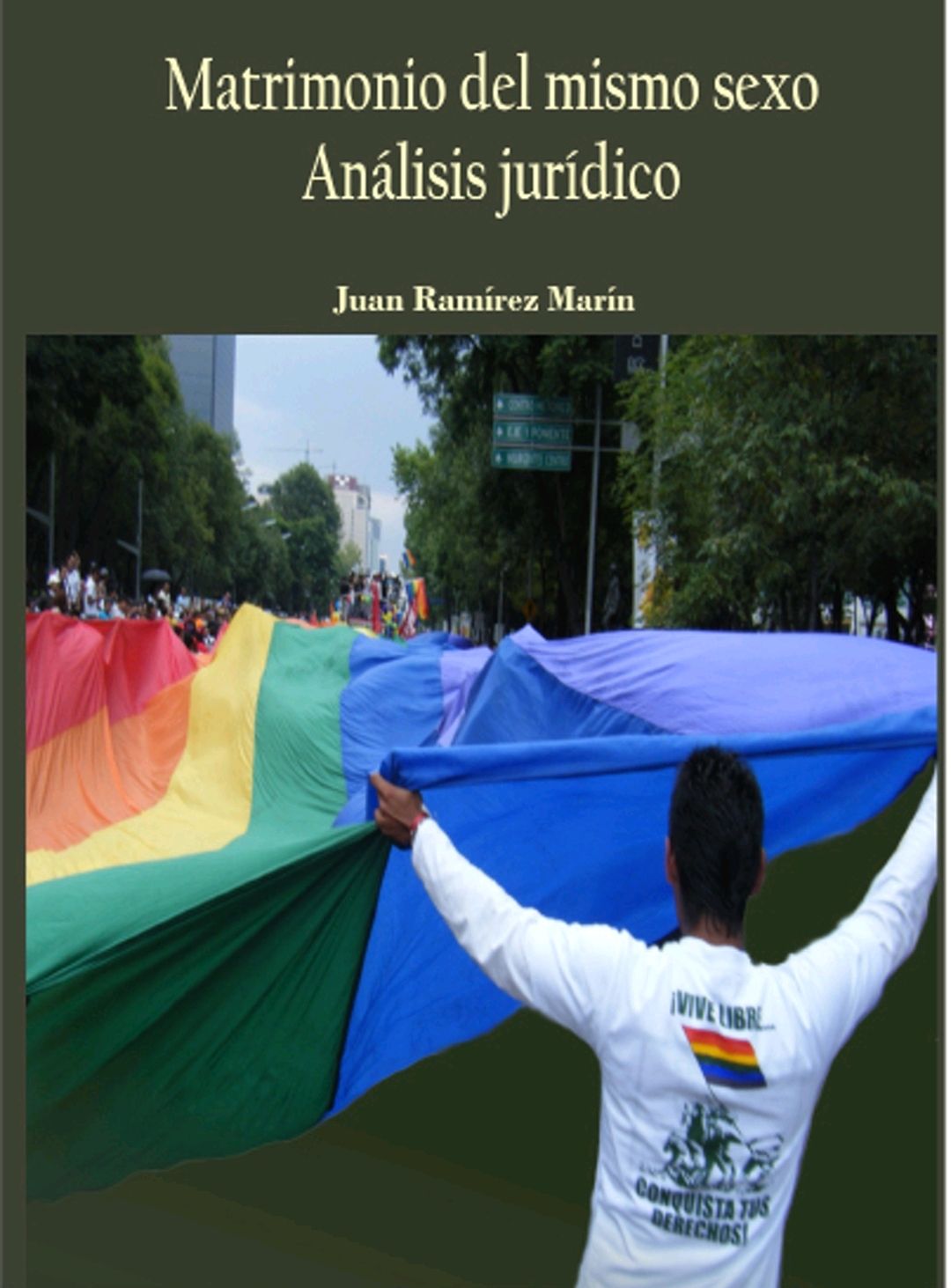 MATRIMONIO DEL MISMO SEXO. ANALISIS JURIDICO