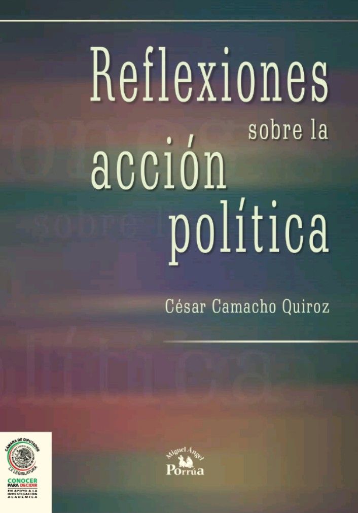 REFLEXIONES SOBRE LA ACCIÓN POLÍTICA
